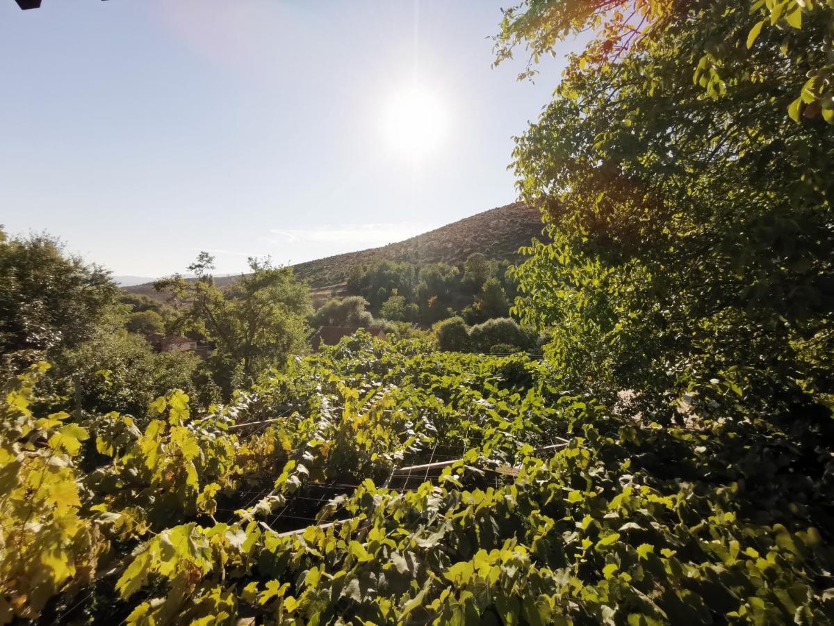 Vila Rira - Rrajce, Shebenik Perrenjas Buitenkant foto